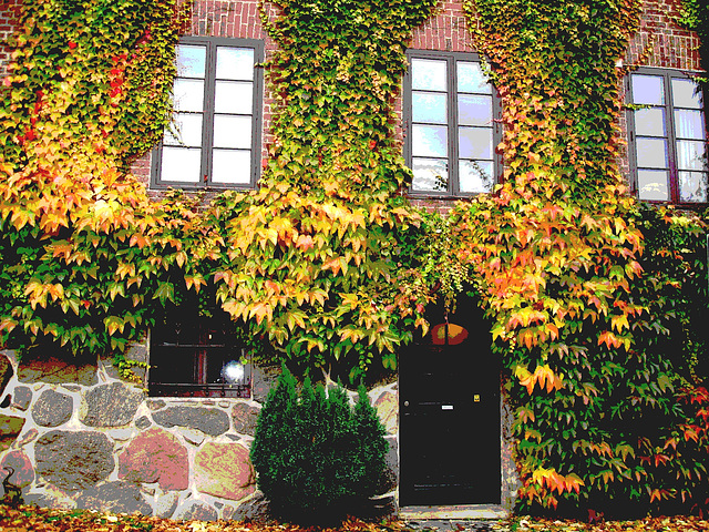 Maison  Skanegarden house - Båstad / Suède - Sweden.  21-10-2008- Postérisée