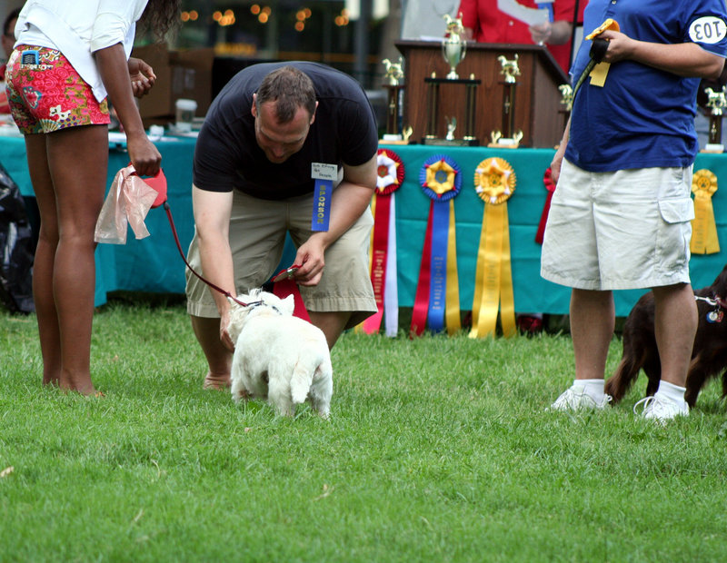 08.PrideOfPetsFunDogShow.Dupont.WDC.21June2009