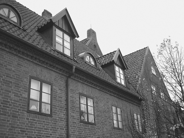 Maison  Skanegarden house - Båstad / Suède - Sweden.  21-10-2008   -  N & B