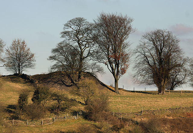 Shaft on Ecton Hill