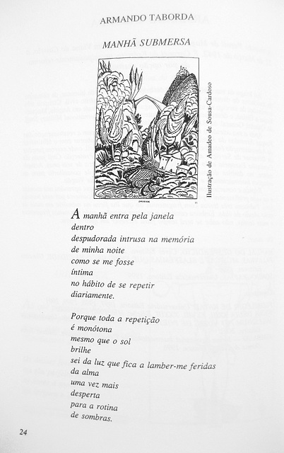 VIOLA DELTA, Volume XXXIII, Edições Mic, May, 2002