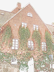 Maison  Skanegarden house - Båstad / Suède - Sweden.  21-10-2008 - Contours de couleurs