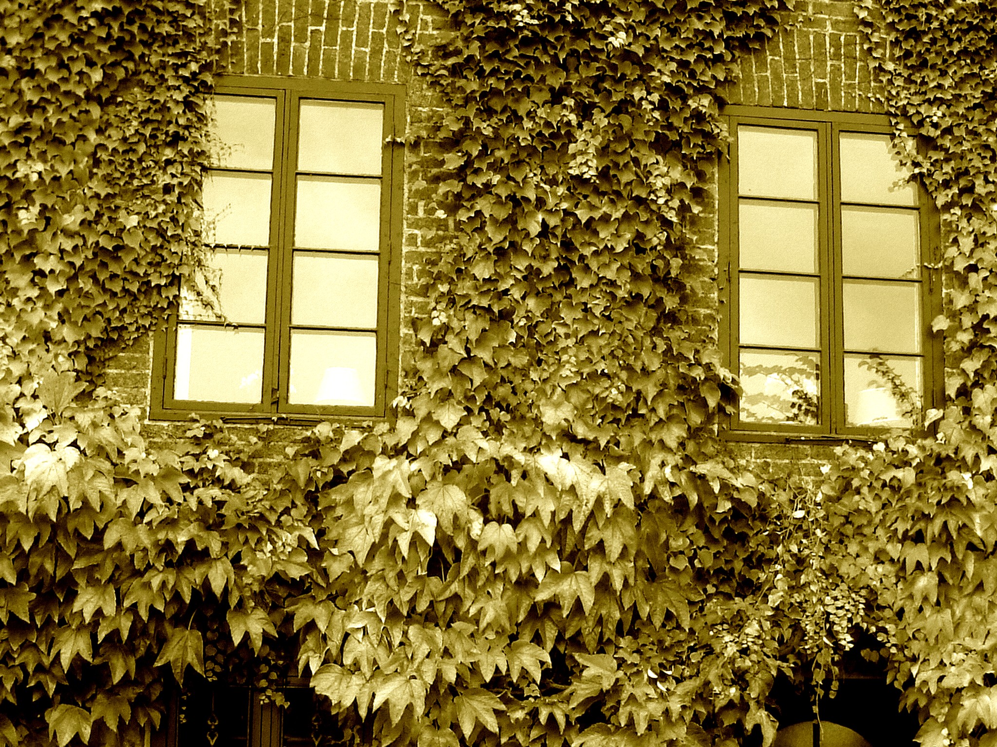 Maison  Skanegarden house - Båstad / Suède - Sweden.  21-10-2008  -  Version sépiatisée