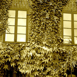 Maison  Skanegarden house - Båstad / Suède - Sweden.  21-10-2008  -  Version sépiatisée