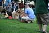 19.PrideOfPetsFunDogShow.Dupont.WDC.21June2009