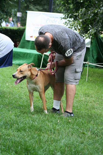 21.PrideOfPetsFunDogShow.Dupont.WDC.21June2009