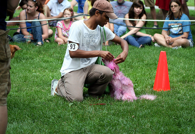 24.PrideOfPetsFunDogShow.Dupont.WDC.21June2009