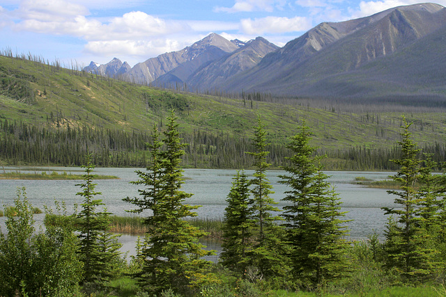 Jasper National park