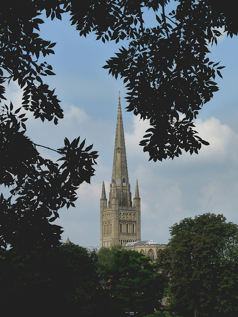 Norwich Cathedral