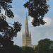 Norwich Cathedral