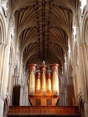 Norwich Cathedral- Organ and Vaulting