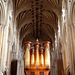 Norwich Cathedral- Organ and Vaulting