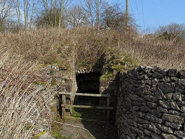 Coal Hills Limekiln