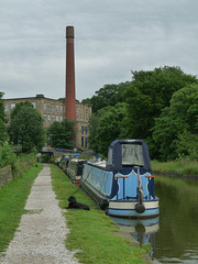 Canalside View Towards Clarence Mill