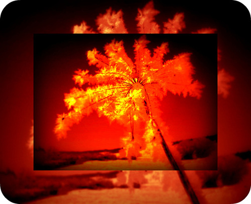 une lueur dans le coeur, une larme dans l'oeil une prière da ns la tête, une vieille douleur une vive rancoeur, là ou meurt le pardon
