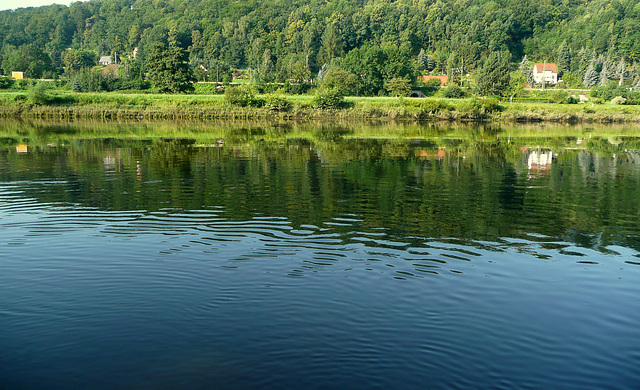 Blick auf die morgendliche Elbe