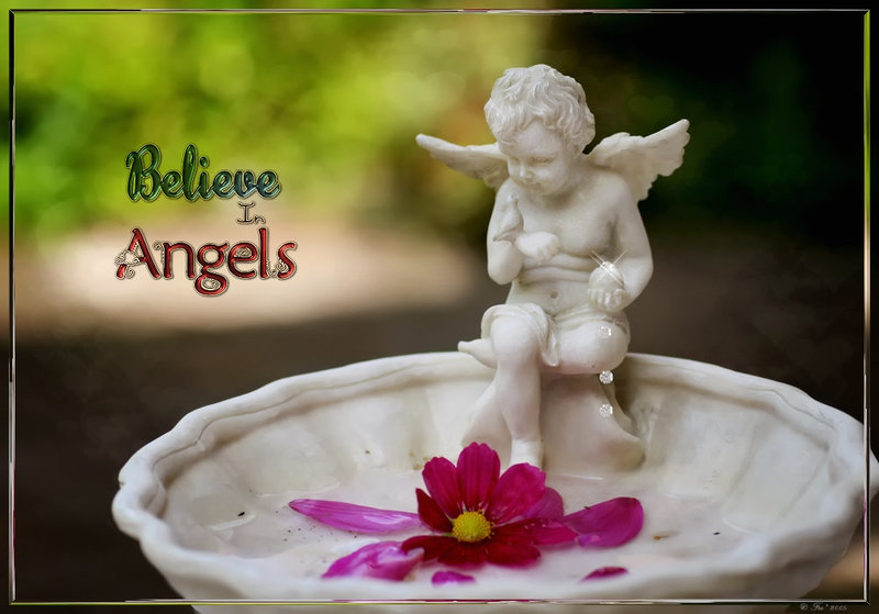 guardian angel ~♥~