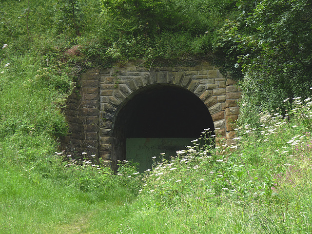 Southern Entrance to Sandsend Tunnel