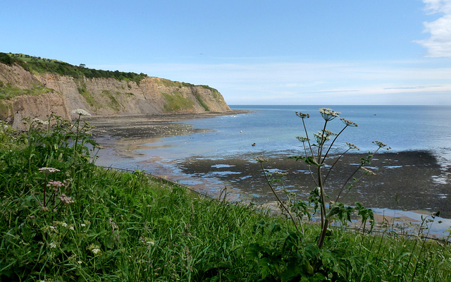 View Towards Ness Point