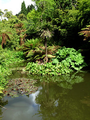 Lost Garden Reflections