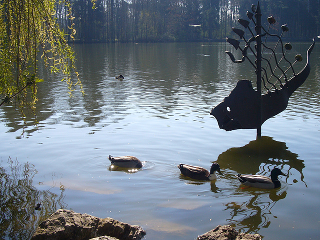 Rast am kleinen See