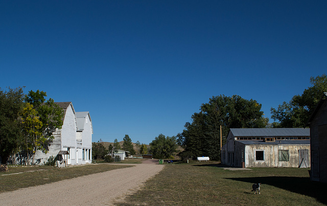 Jay Em, WY (0624)