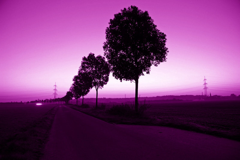 Ultra Violet (Light My Way)