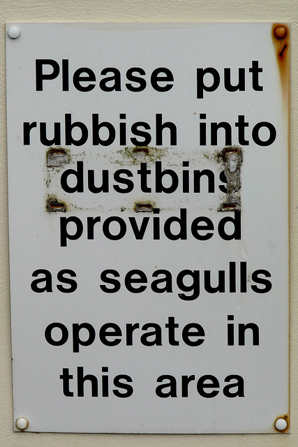 Surgical Seagulls?