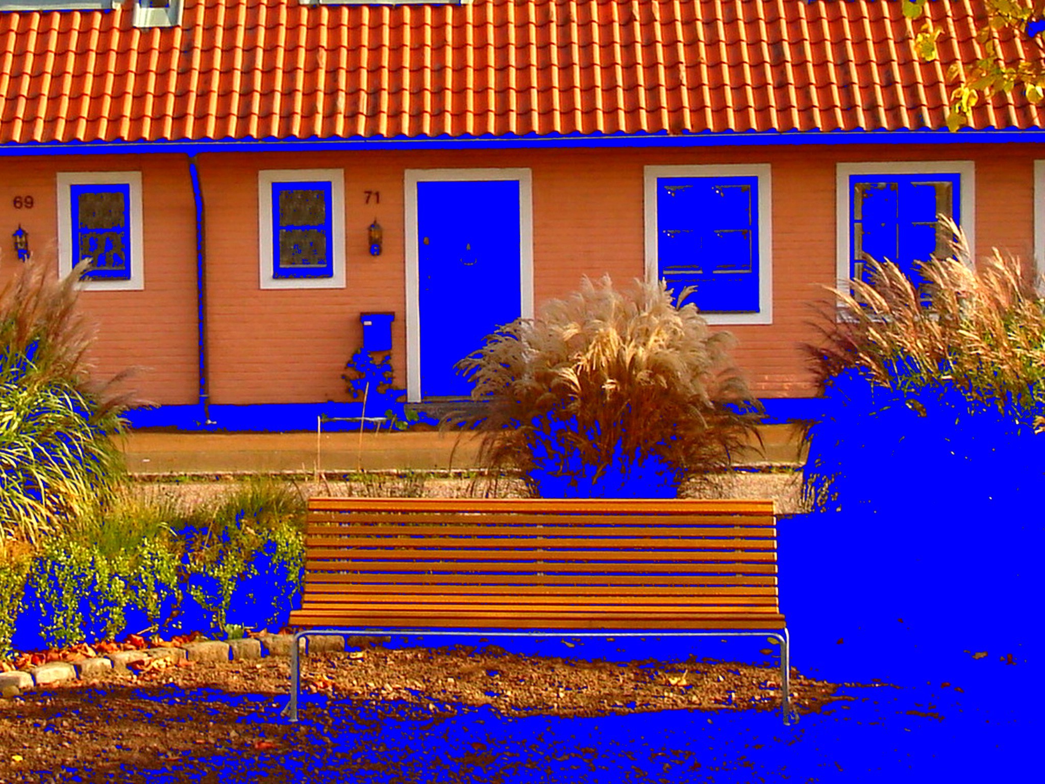 Båstad  /  Suède - Sweden.  25 octobre 2008 -  Négatif de négatif  avec changement de couleurs