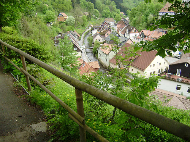 Blick auf Wildemann