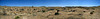 High Desert Pano (1)