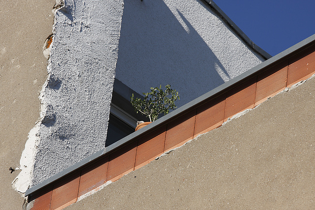 sonnenbaden / sunbathing