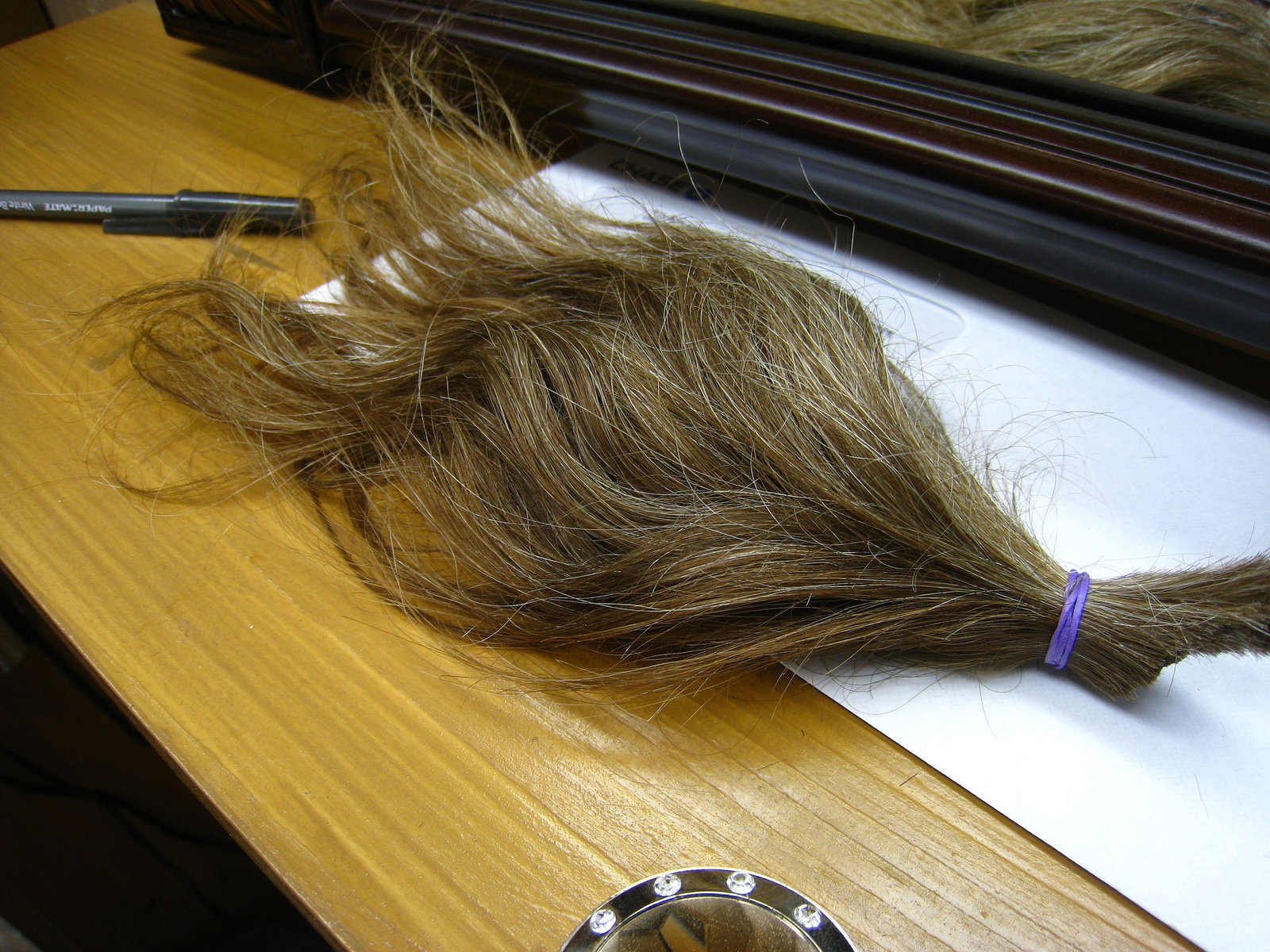 Karl Baker's ponytail (2854)