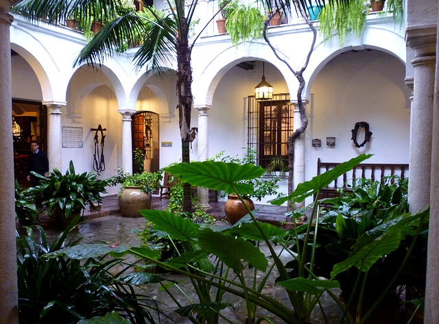 Courtyard