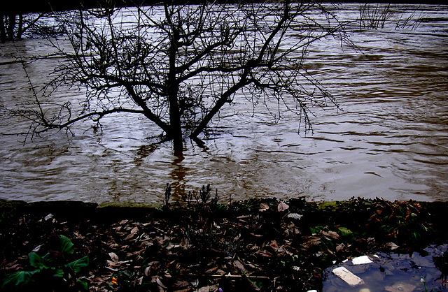 Überschwemmung am 4.4.2006