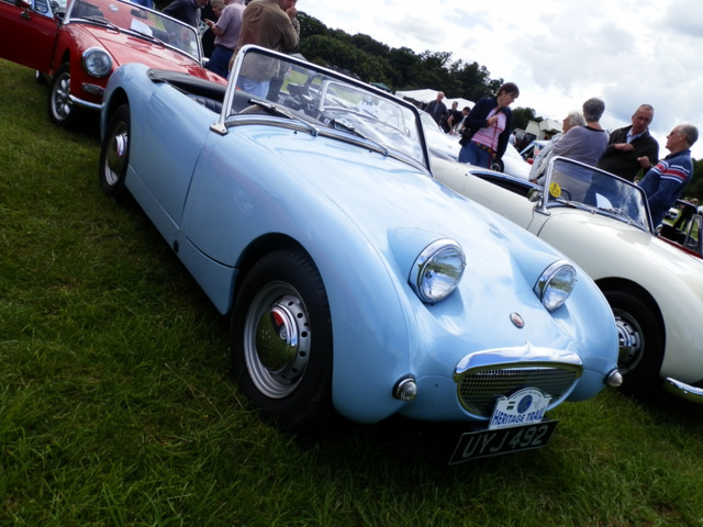 cmsafdcpjul152012 (1033)