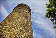 Galata Tower