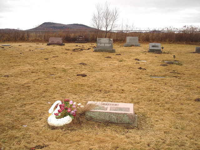 Cimetière américain typique /  Mountain view cemetery. Saranac lake area.  NY. USA . March 29th 2009 - Oliver's flowery swan /  Oliver et son cygne fleuri