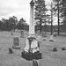 Cimetière américain typique /  Mountain view cemetery. Saranac lake area.  NY. USA . March 29th 2009- Martin tower - La tour Martin.  N & B