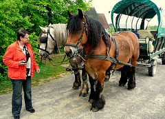 Kutschfahrt im Freilichtmuseum Detmold