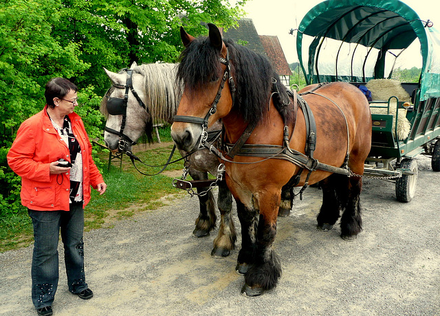 Kutschfahrt im Freilichtmuseum Detmold