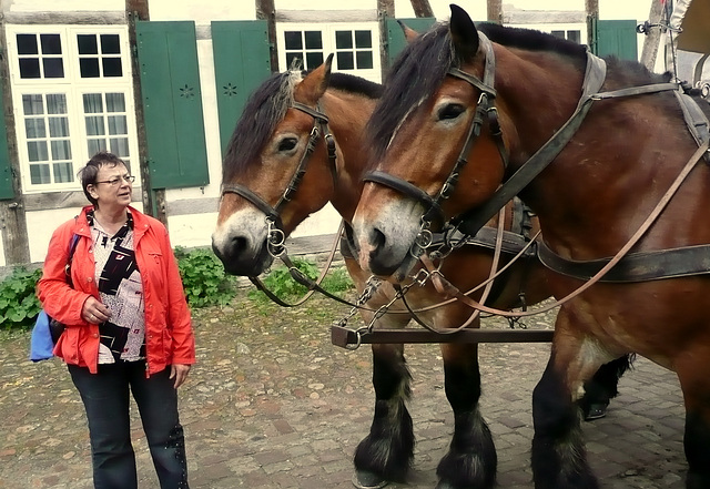 Kutschfahrt im Freilichtmuseum Detmold