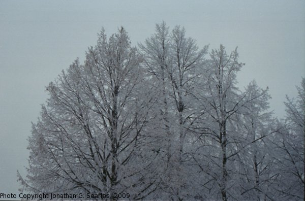 Snow in Sidliste Haje, Picture 2, Prague, CZ, 2009