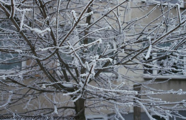 Snow in Sidliste Haje, Picture 4, Prague, CZ, 2009