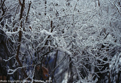 Snow in Sidliste Haje, Picture 8, Prague, CZ, 2009