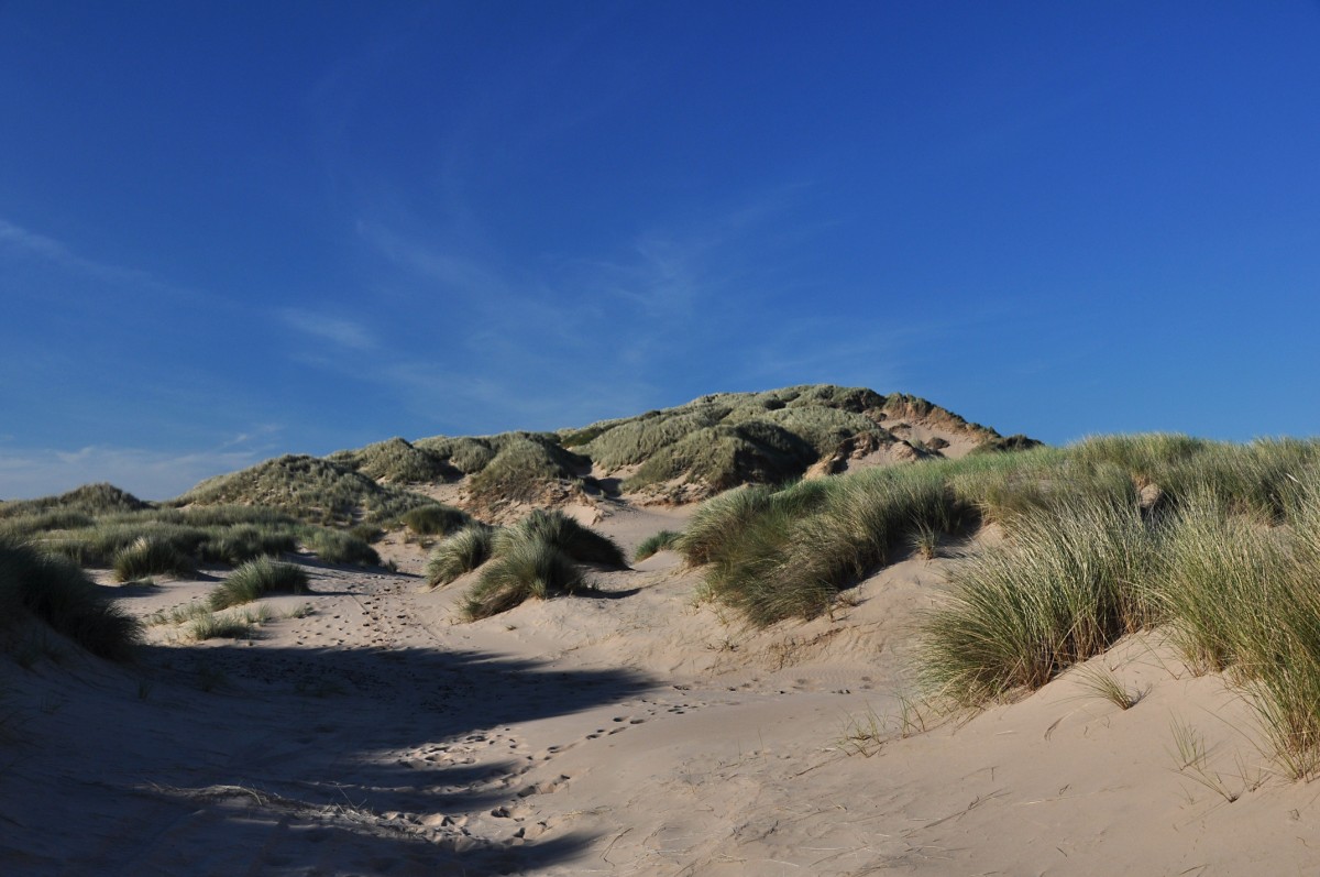 Foveran dunes