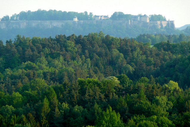 Blick auf die Festung Königstein