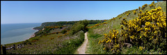 Hastings Country Park Nature Reserve