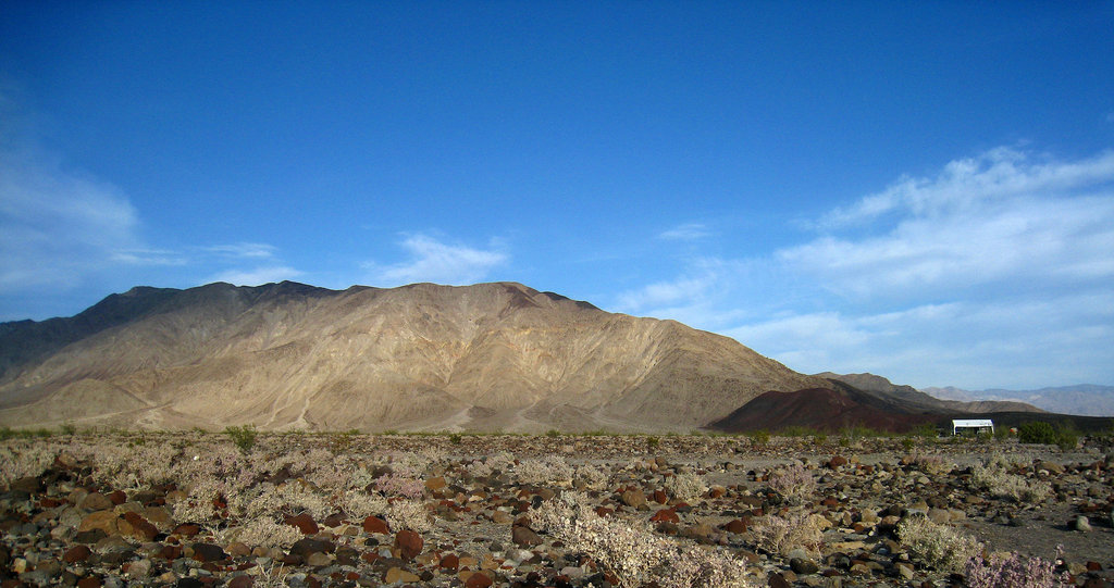 Saline Valley (2490)