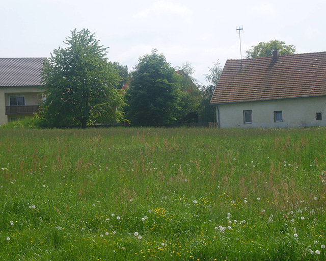 auf dem Lande